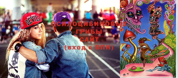 крисы Зерноград