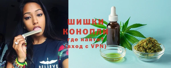 твердый Зеленодольск