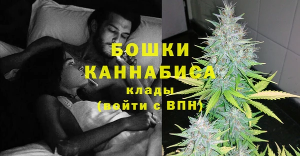 крисы Зерноград
