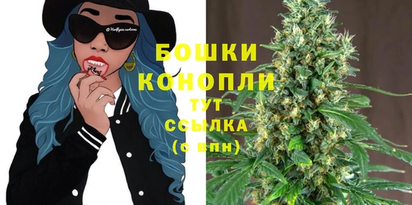 крисы Зерноград