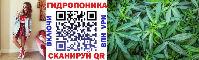 Конопля ГИДРОПОН Калининск